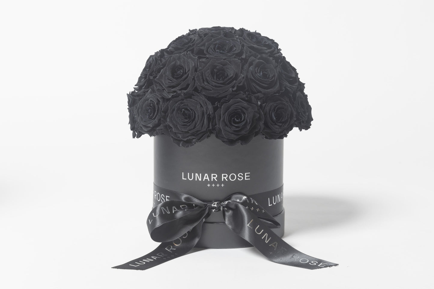 ROSE DOME Black M