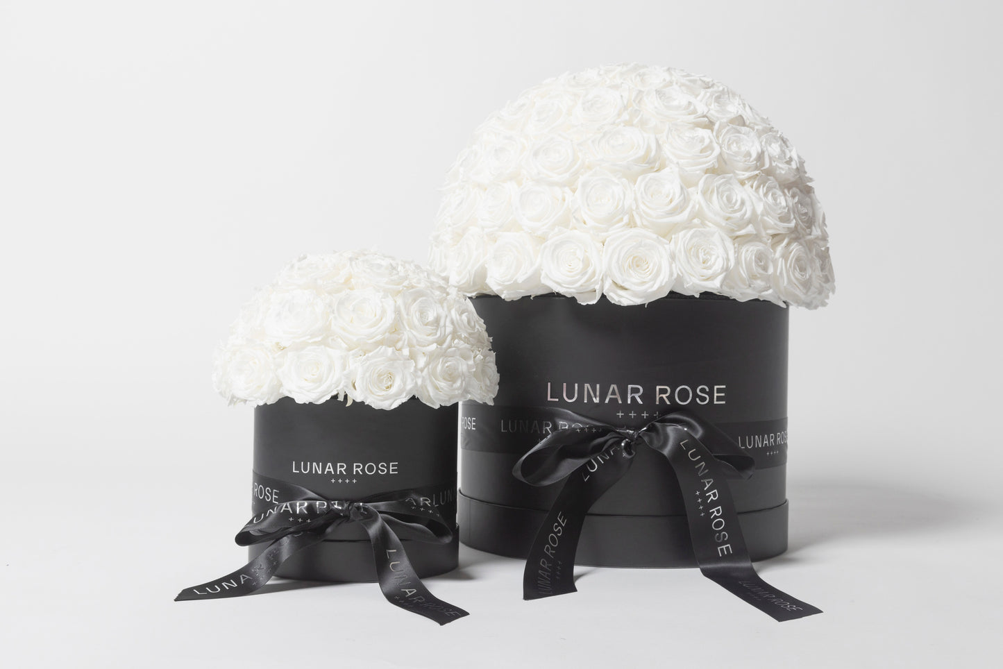 ROSE DOME White L