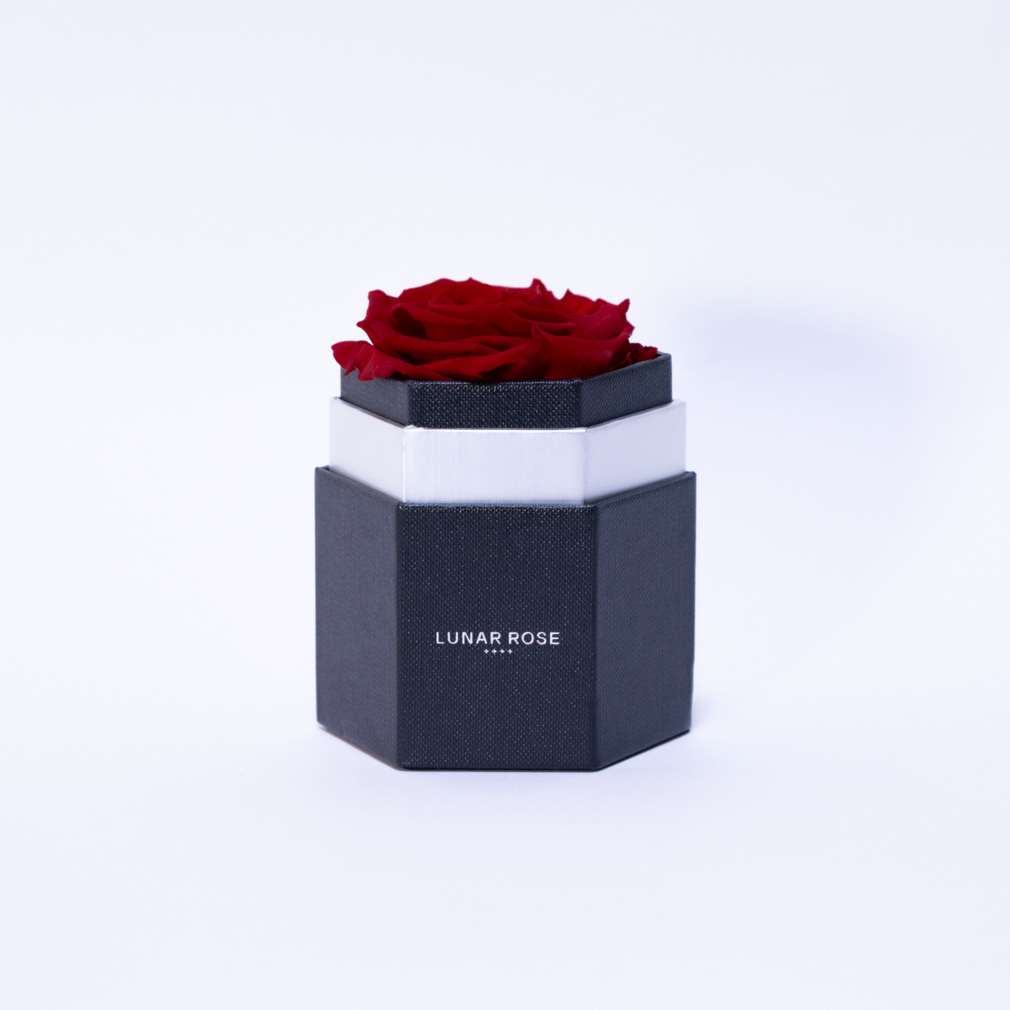 Rose you
