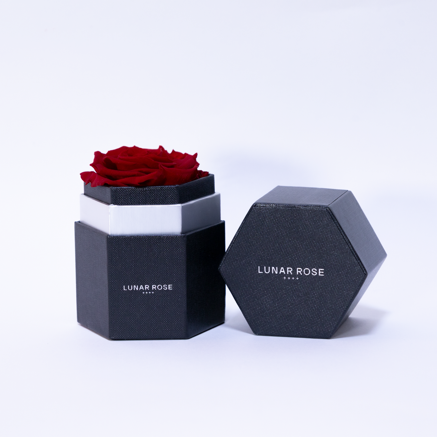 Rose you