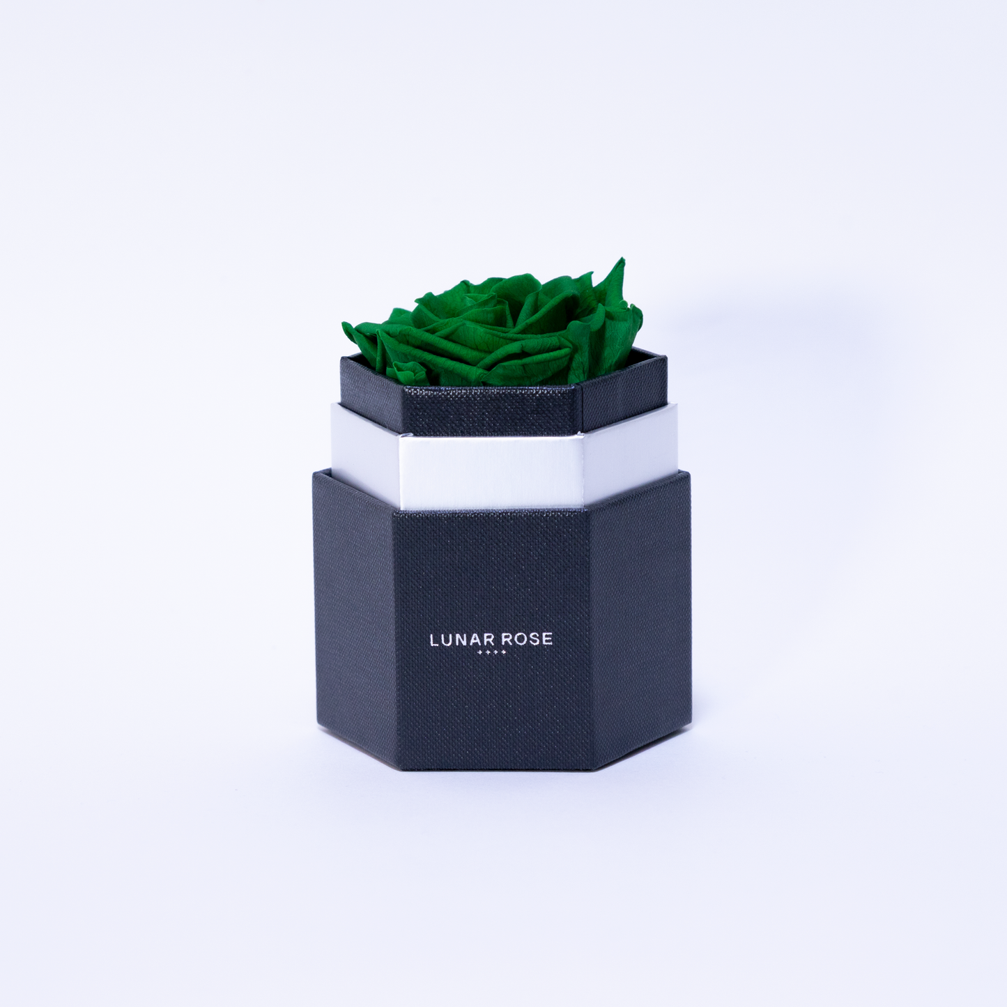 Rose you