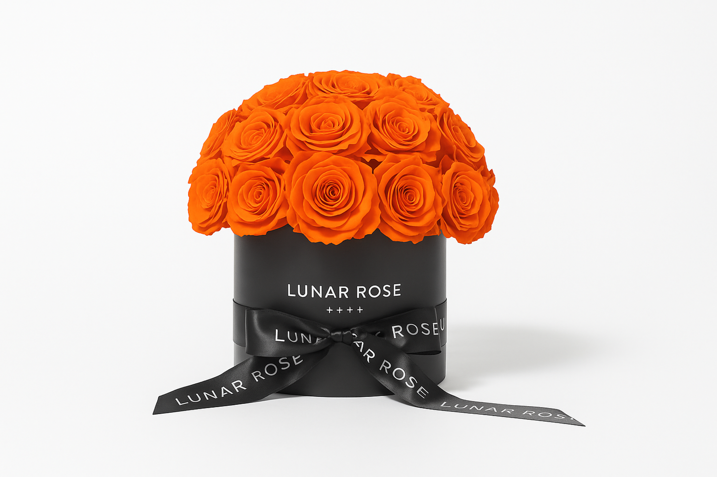 【数量限定】ROSE DOME Orange M