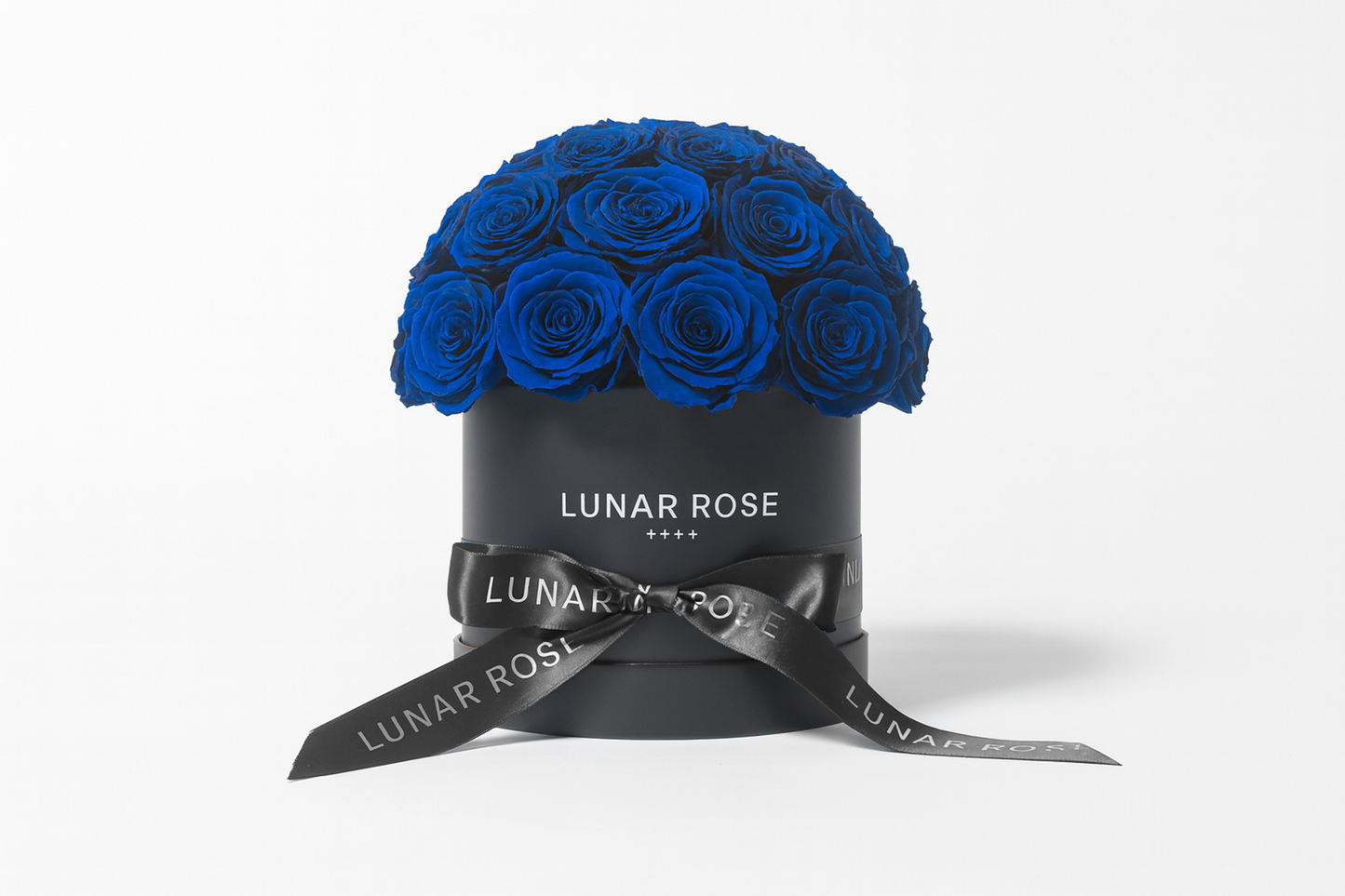 ROSE DOME Blue M