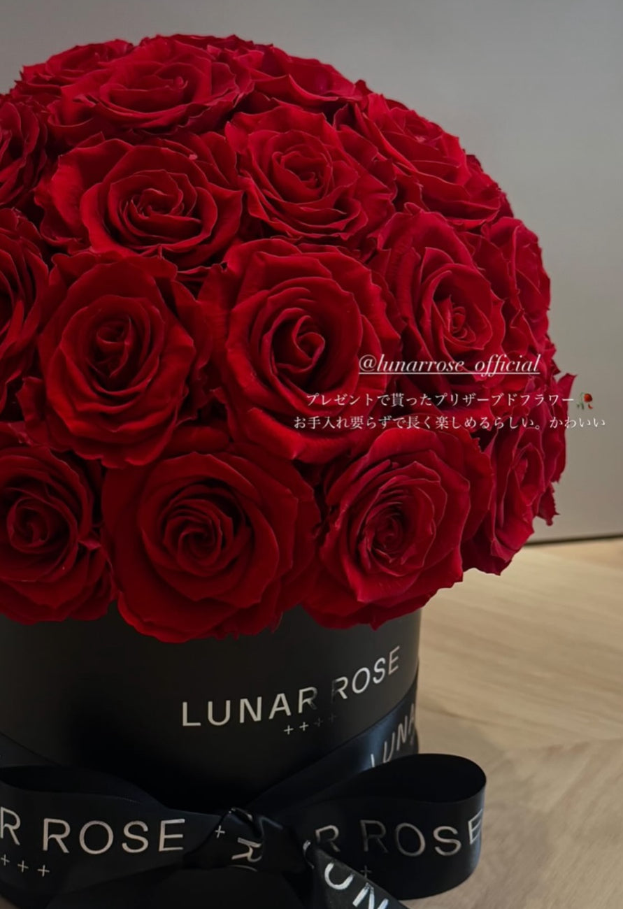 ROSE DOME Red M