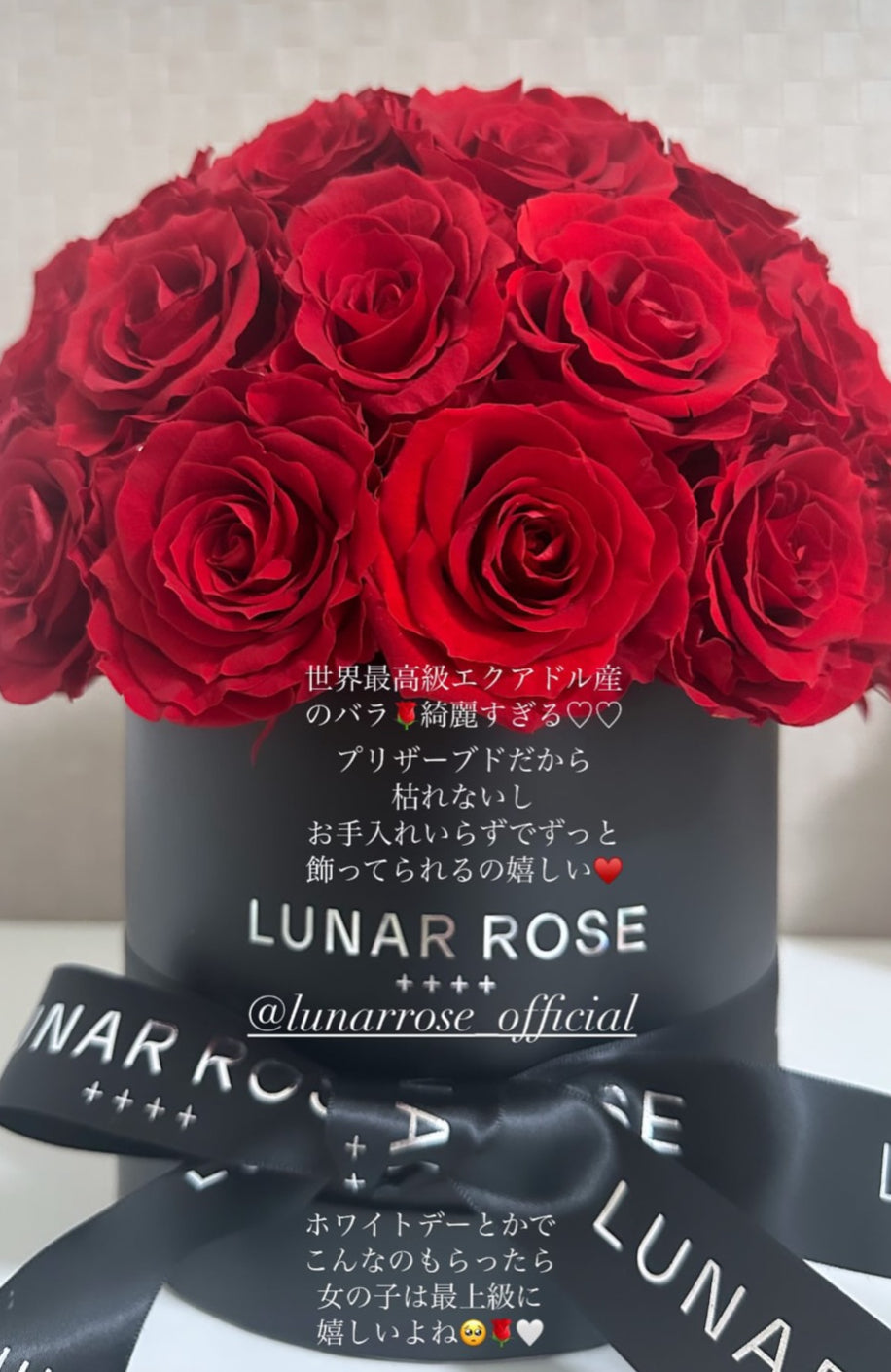 ROSE DOME Red M
