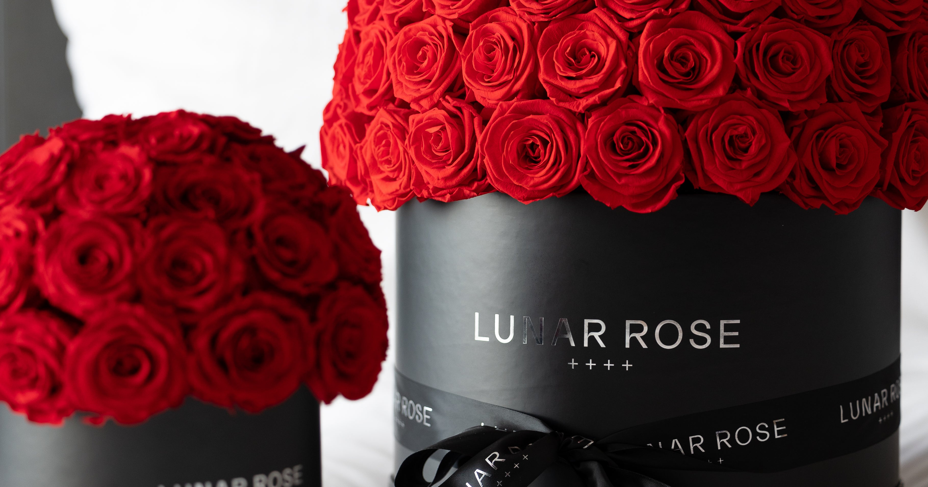 LUNAR ROSE | ルナーローズ | 高級プリザーブドローズ | 枯れ