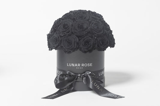 ROSE DOME  Black M