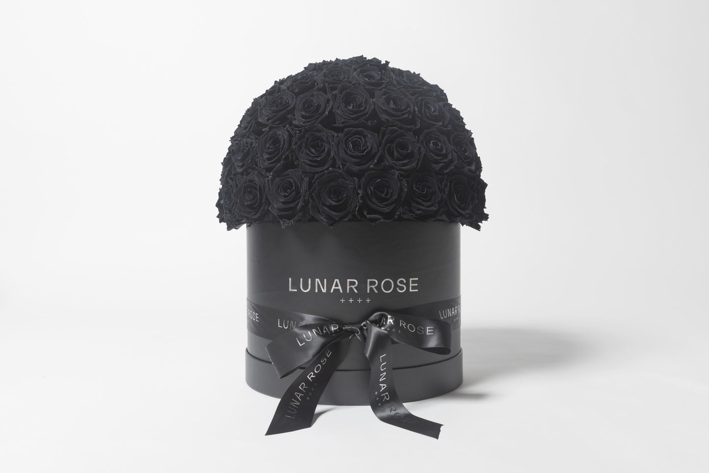 ROSE DOME  Black L