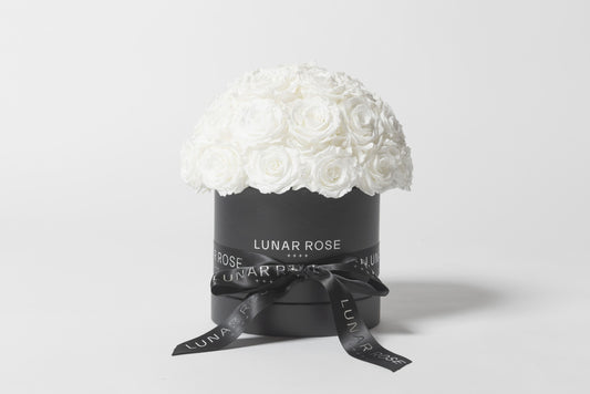 ROSE DOME  White M