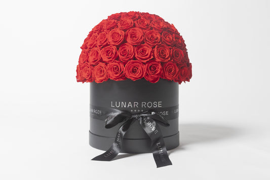 ROSE DOME  Red L