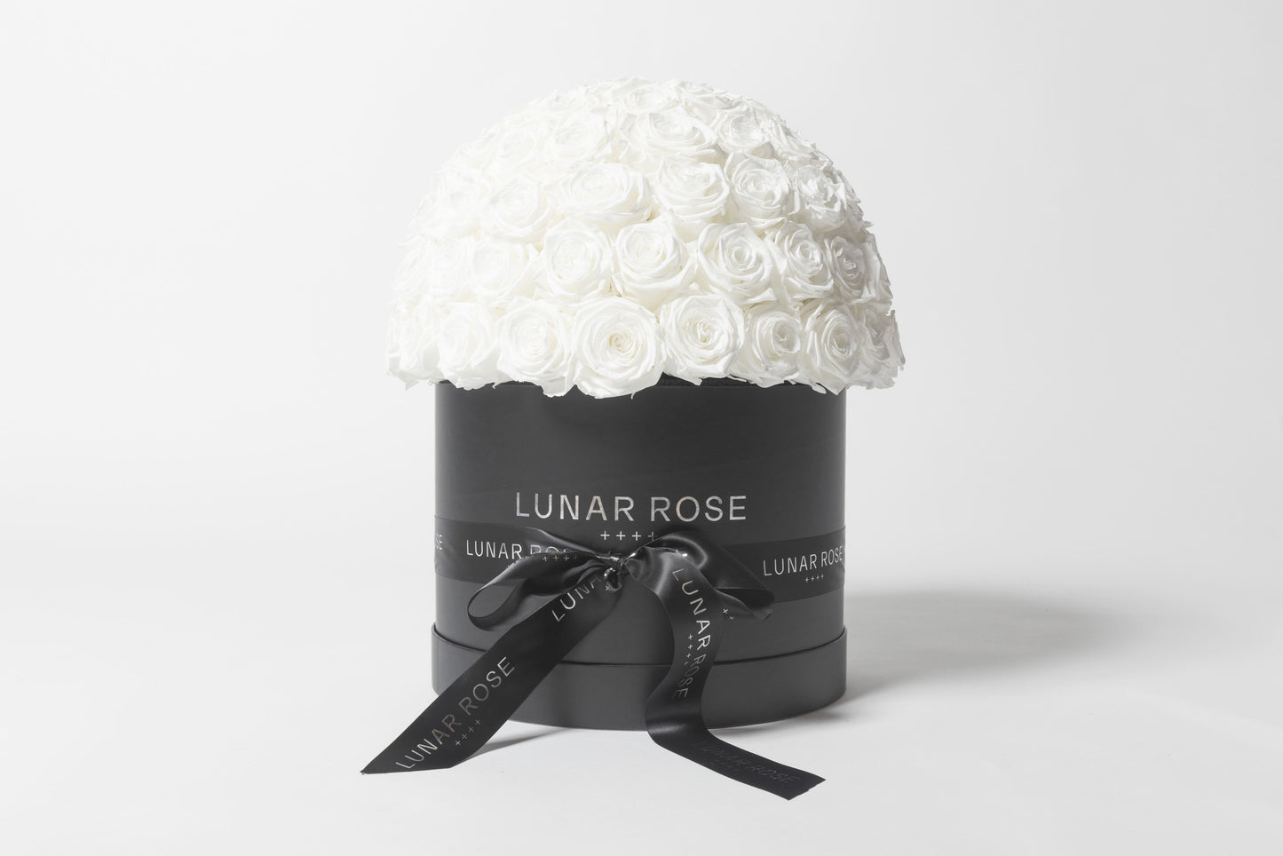 ROSE DOME  White L