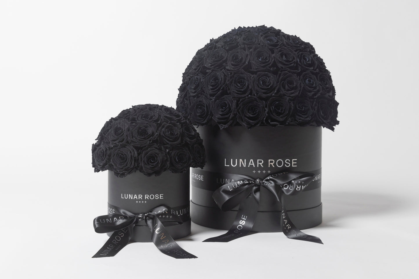 ROSE DOME  Black L