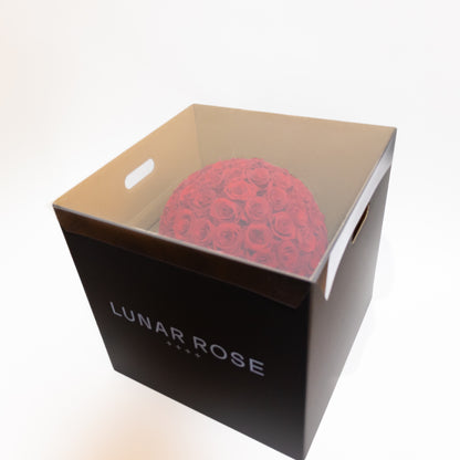 ROSE DOME  Red L