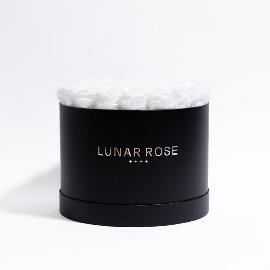 Rose Box 35 White