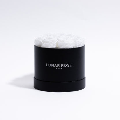Rose Box 9 White