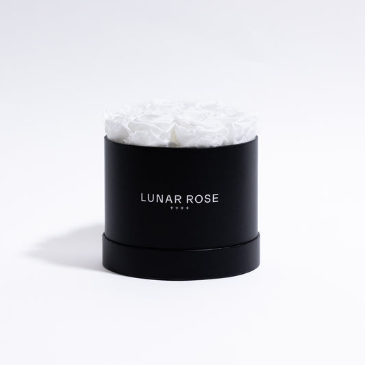 Rose Box 9 White