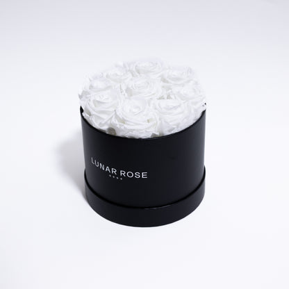 Rose Box 9 White
