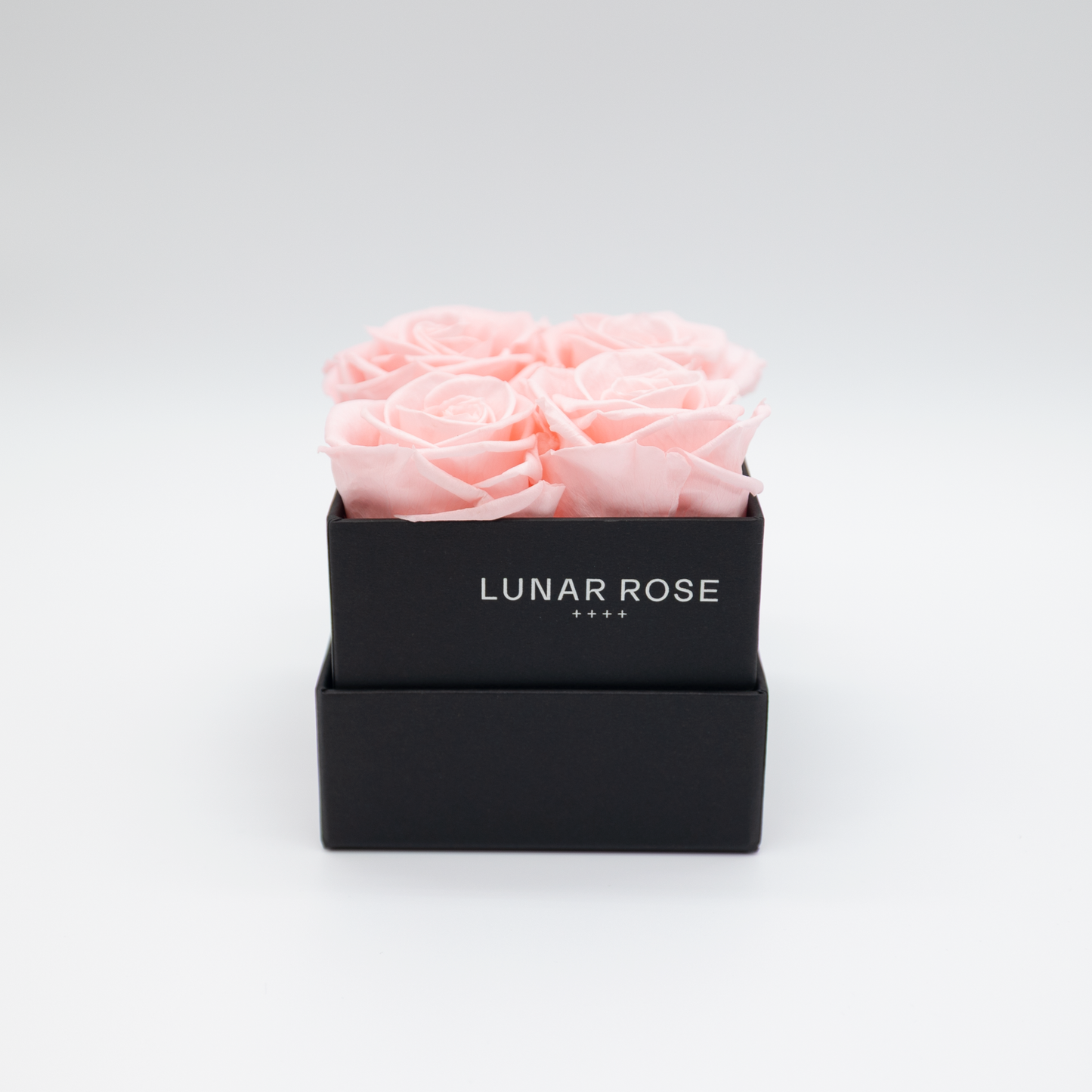 Square Rose Box 4