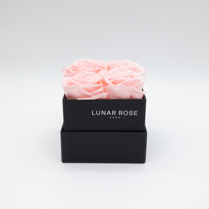 Square Rose Box 4