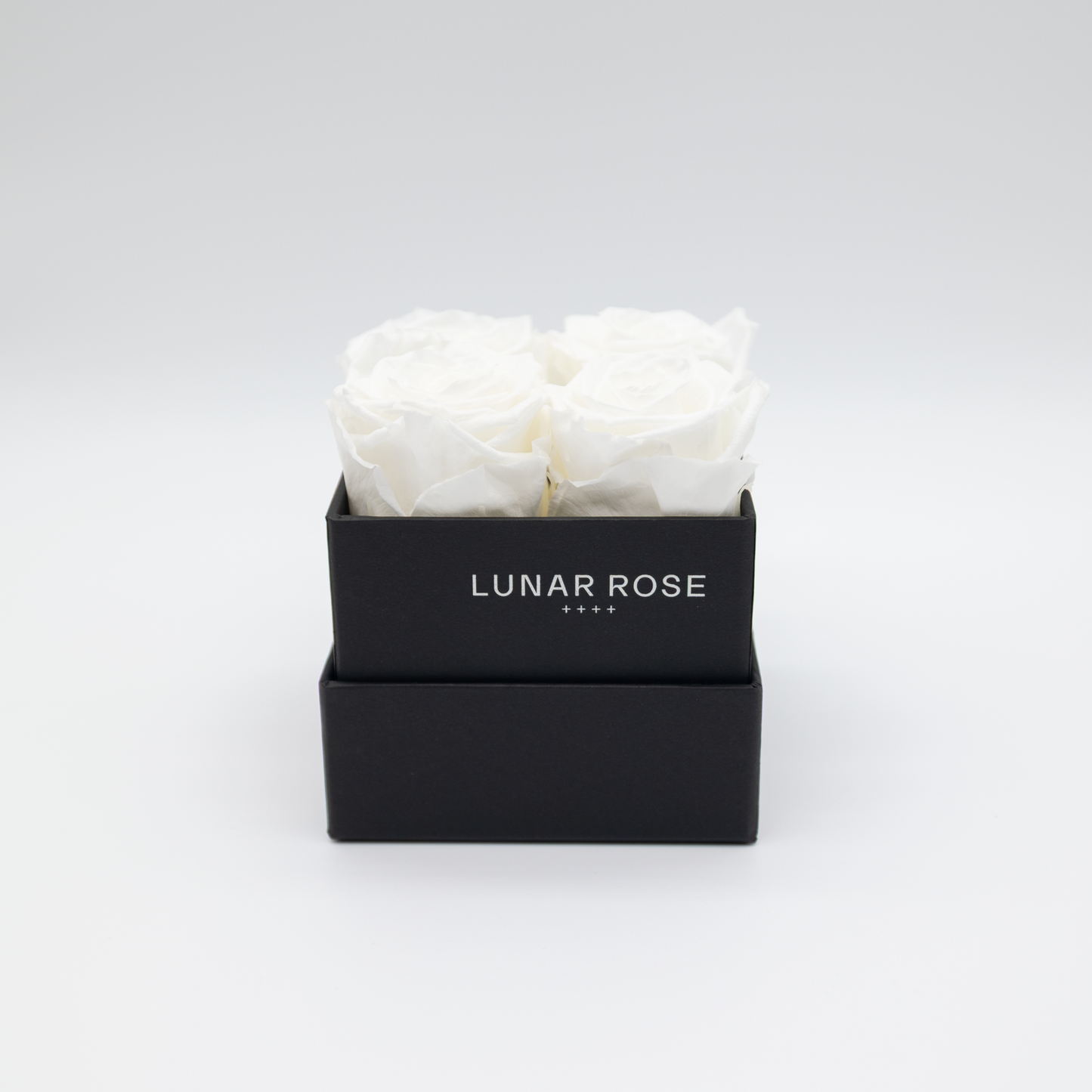 Square Rose Box 4