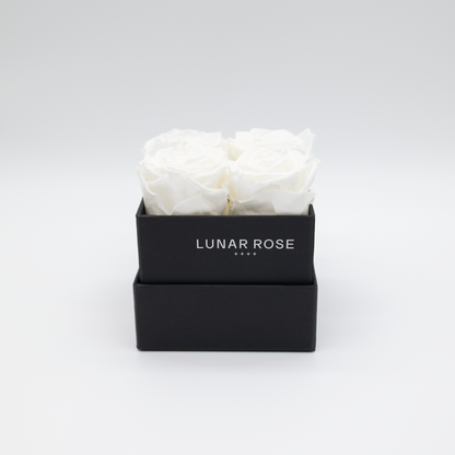 Square Rose Box 4
