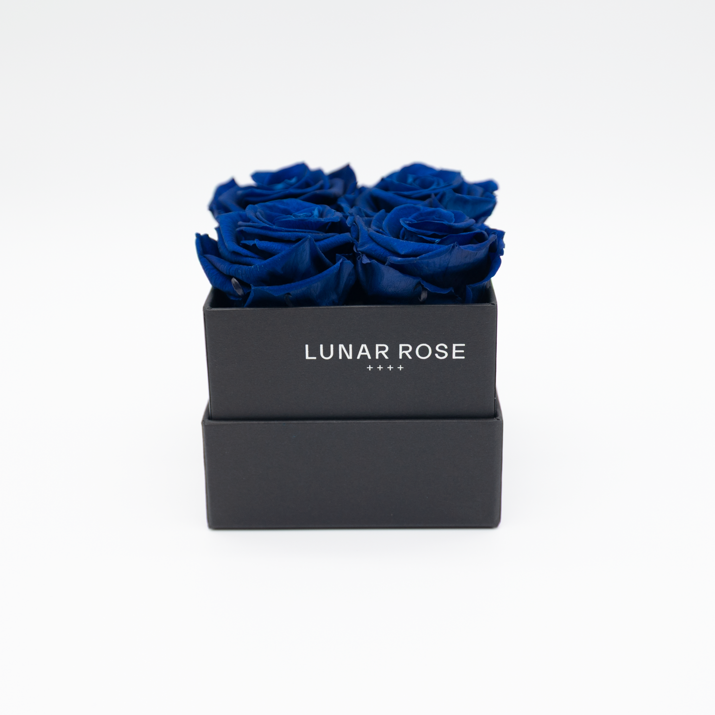 Square Rose Box 4