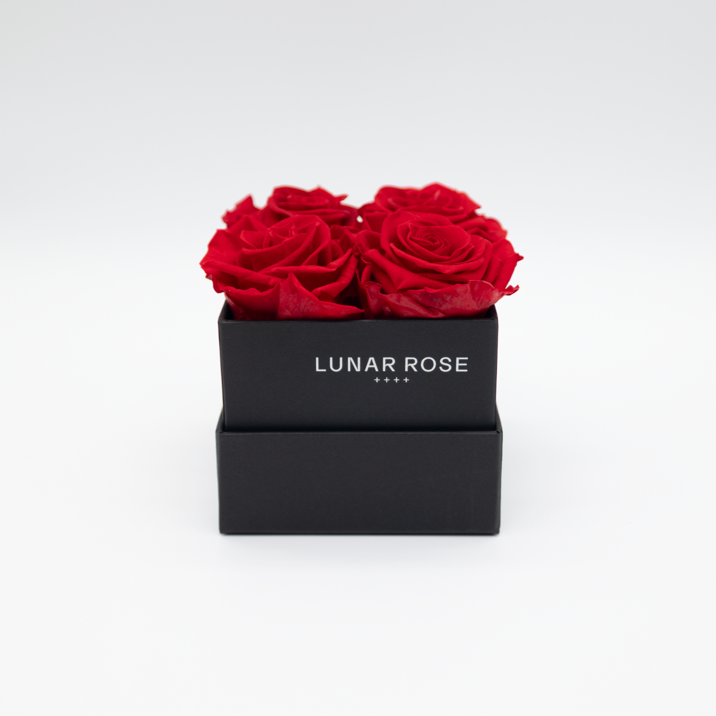 Square Rose Box 4