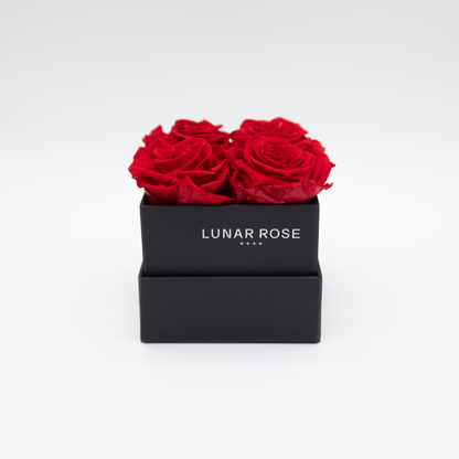 Square Rose Box 4