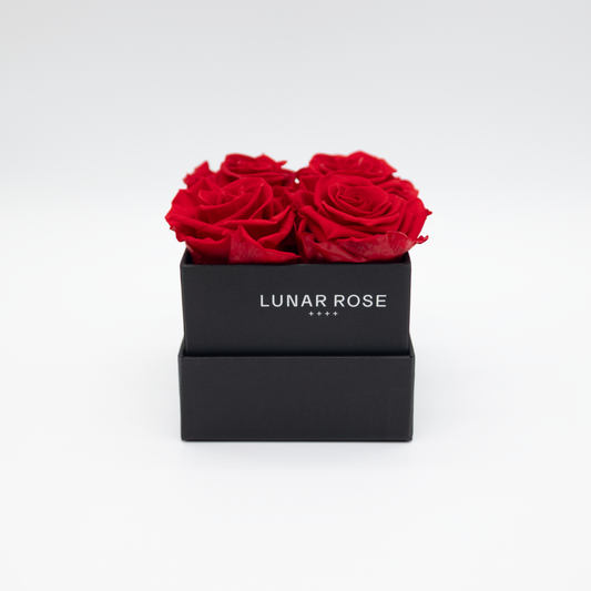 Square Rose Box 4