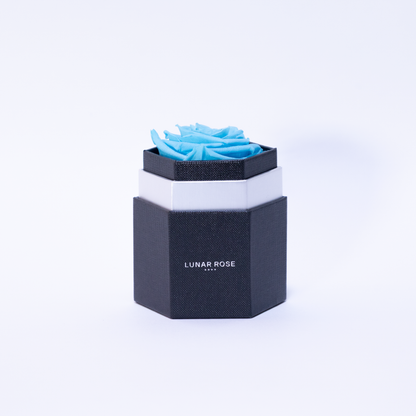 RULE of ROSE ルールオブローズ おまけ付き RULE of ROSE ルールオブ RULE of ROSE ルールオブローズ おまけ付き RULE of ROSE ルールオブ