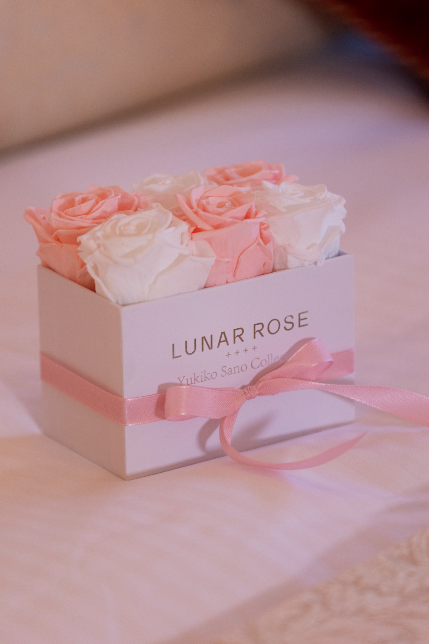 6 Roses - Yukiko Sano Collection