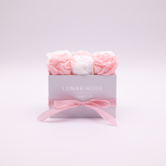 6 Roses - Yukiko Sano Collection