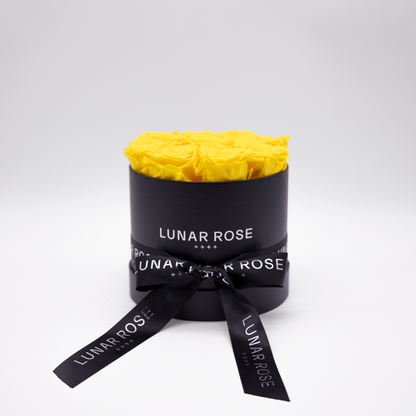 Rose Box 9 Yellow