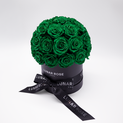 ROSE DOME M Green