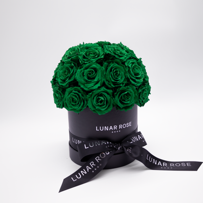 ROSE DOME M Green