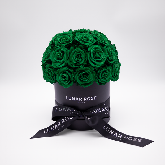 ROSE DOME M Green