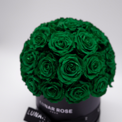 ROSE DOME M Green