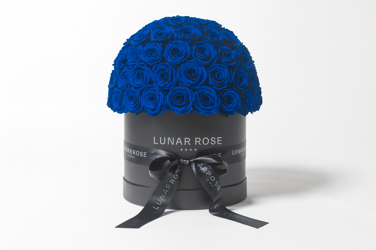 ROSE DOME Blue L