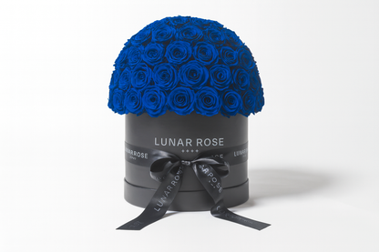 ROSE DOME Blue L