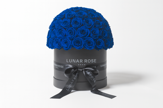 ROSE DOME Blue L