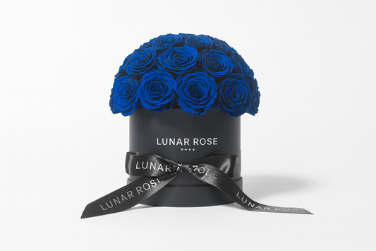 ROSE DOME Blue M