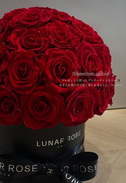 ROSE DOME  Red M