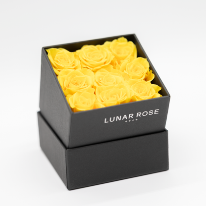 Square Rose Box 9 mini roses