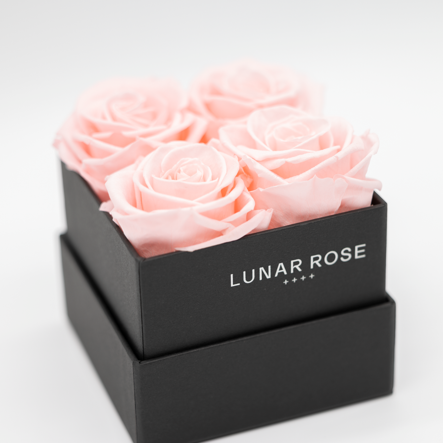Square Rose Box 4