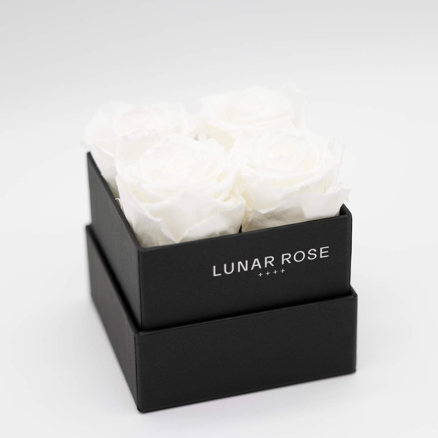 Square Rose Box 4