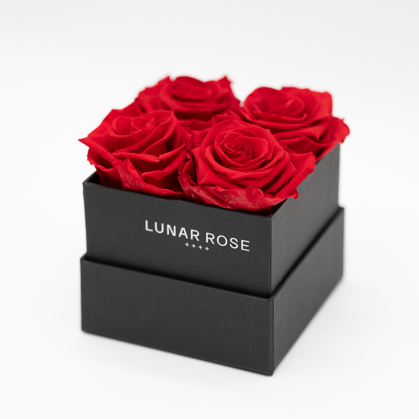 Square Rose Box 4