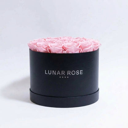 Rose Box 33 Red